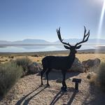 Antelope Island State Park