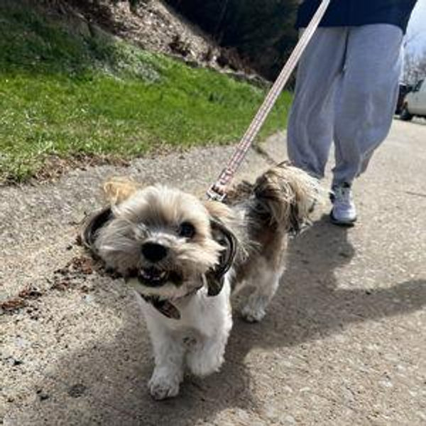 Pet Fund