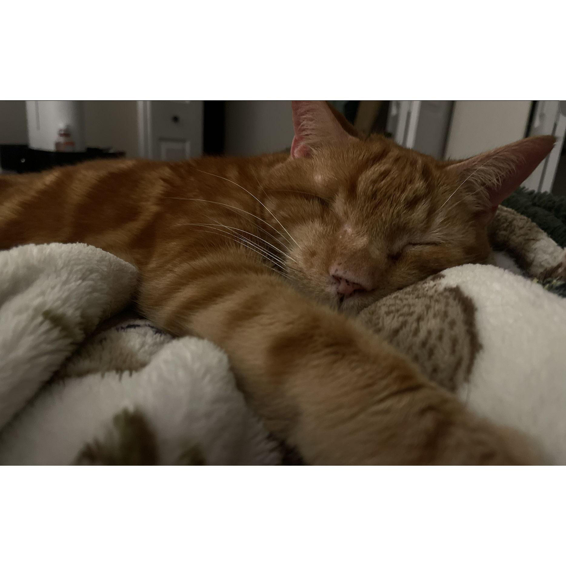 The One-Eyed Menace