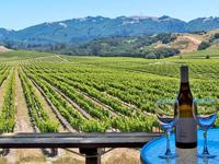 Wine Tasting