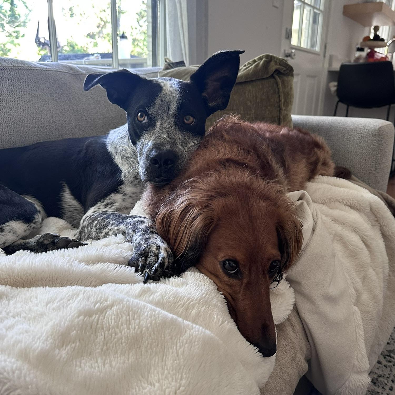 Too cute not to share