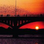 Congress Avenue Bridge