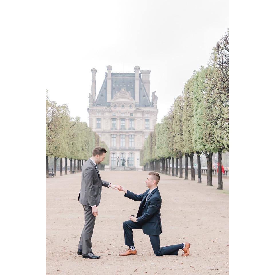 Louvre Engagement - April 2019