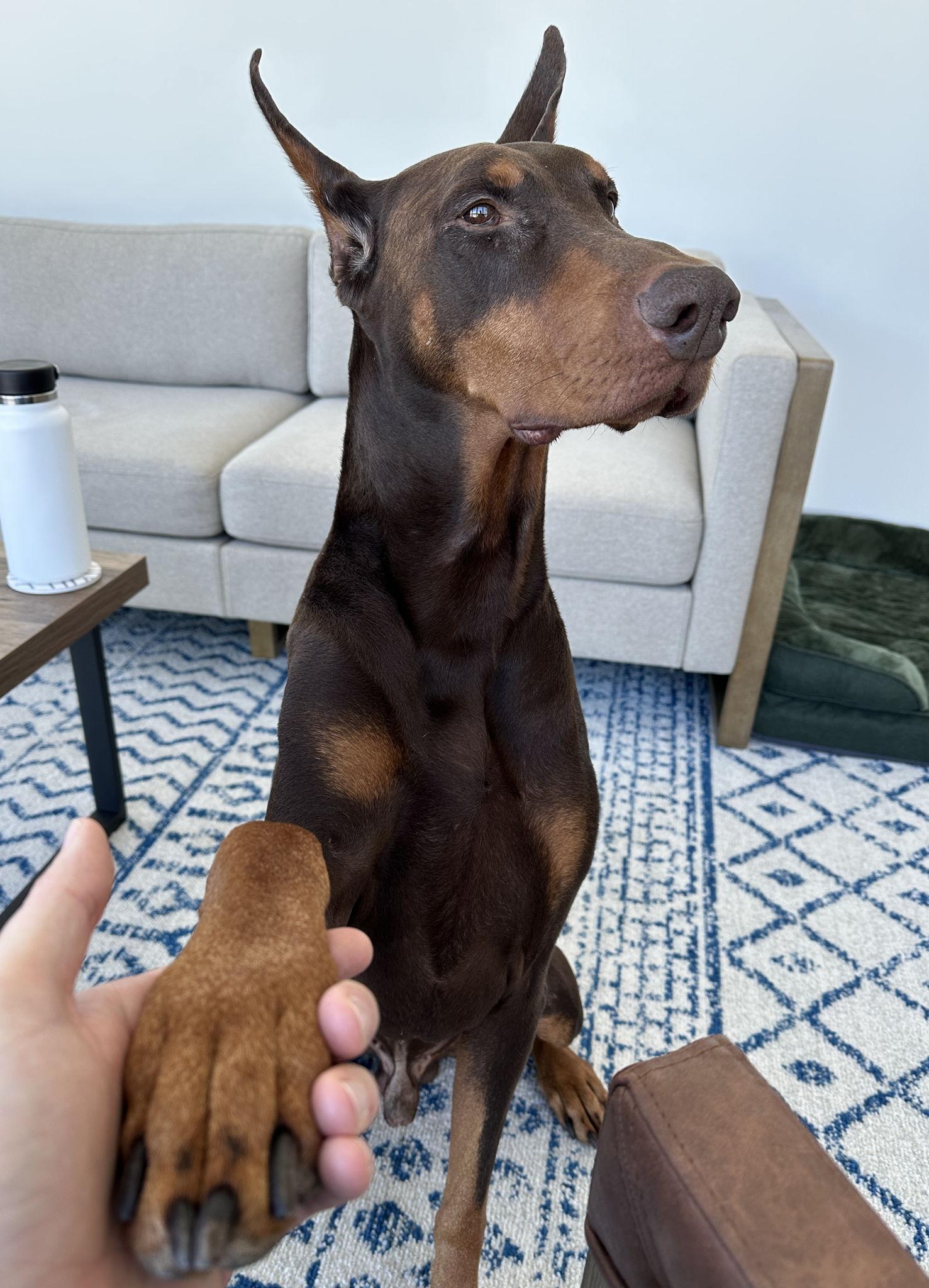 The Wedding Website of Karen Canales and Filip Donadić