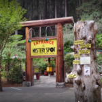 Mystery Spot