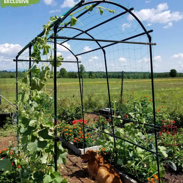 Titan Squash Tunnel