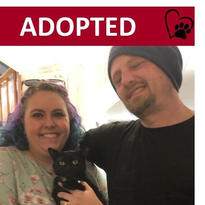 The Day we adopted Baby Girl