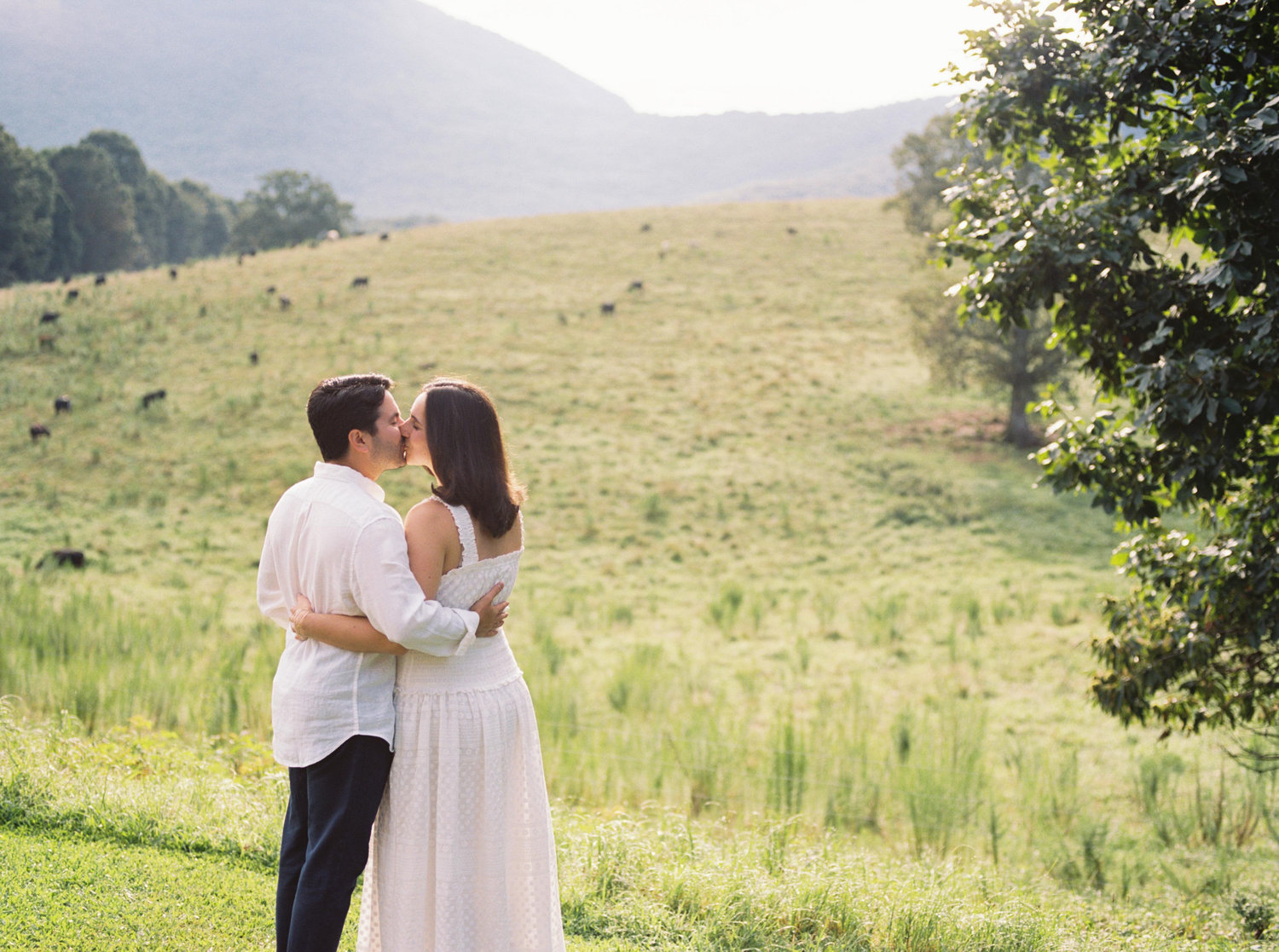 The Wedding Website of Rebecca Meline and Joseph Brickman