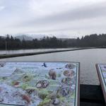 Lovely Ponds