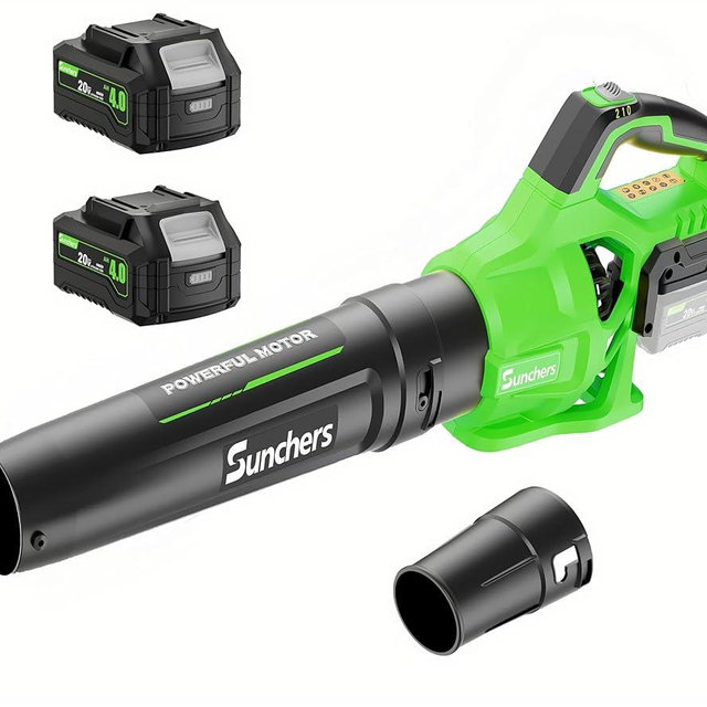 Leaf Blower Cordless with 2 x 4.0Ah Battery and Charger, 580CFM 160MPH Electric Blower with 2 Speeds, 20V Handheld Leaf Cleaner for Lawn Care, Blowing Leaves, Dust, Snow, Gravel for Patio, Yard, Green