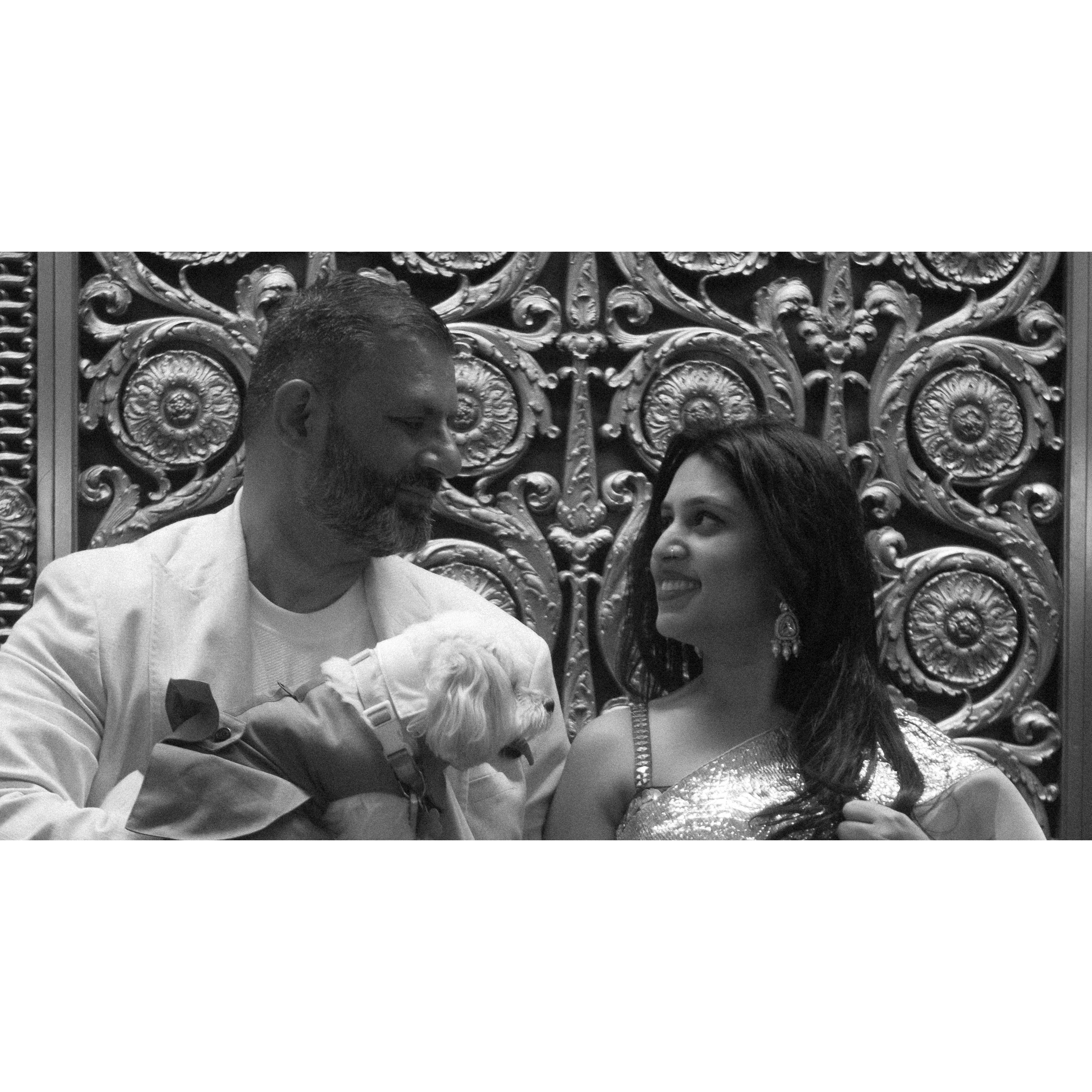 Purfect Family Photo