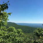 Turnip Top Hiking Trails