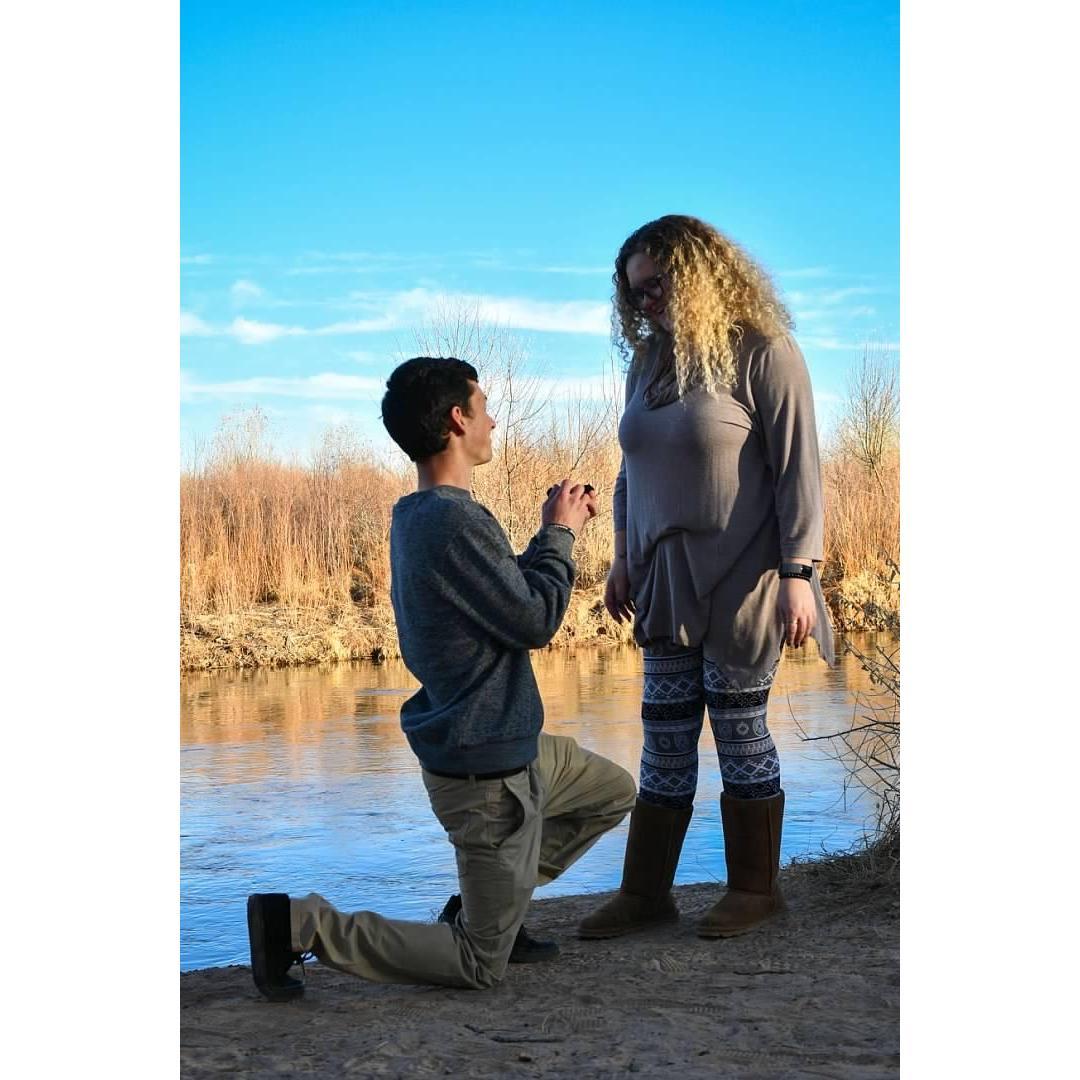 THE PROPOSAL!!!!