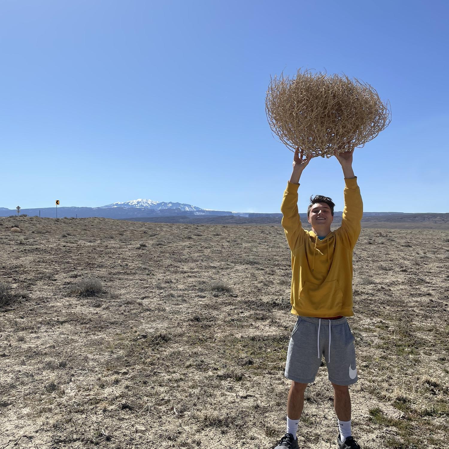 THE TUMBLEWEED!