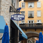 Blue Moose Pizza