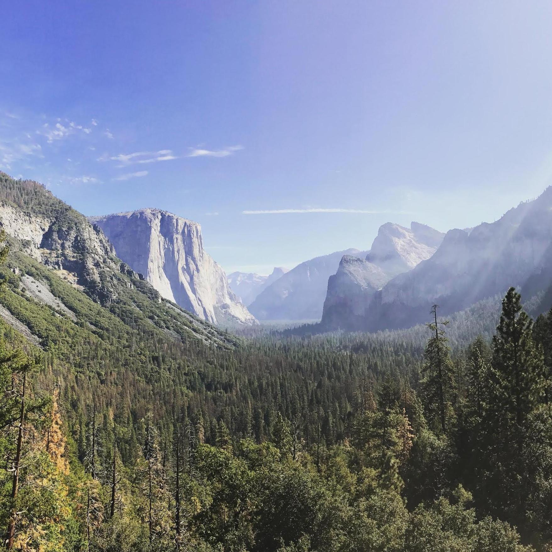 Yosemite, one of the most beautiful places we know, our favorite adventure together, and we hope someday the site of our vow renewal. <3