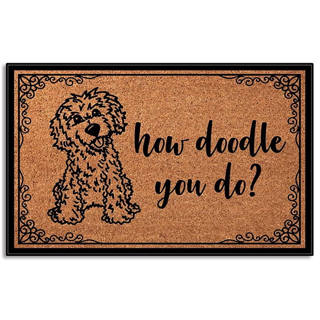 Wulidrom How Doodle You Do Low Profile Door Mat for Front Door Inside Door Mats for Home Entrance, Inside Front Doormat 30"X18"