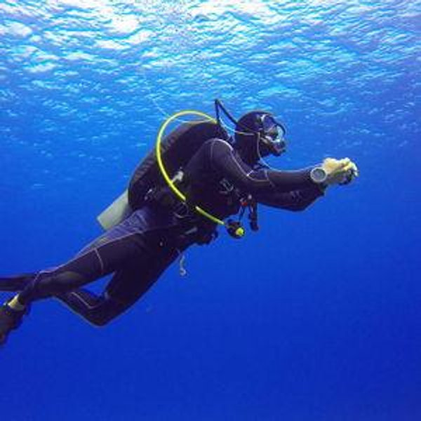 Scuba Diving in Ago Bay