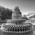 Outdoor Activities - Pineapple Fountain & Waterfront Park