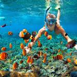 Tours and Excursions