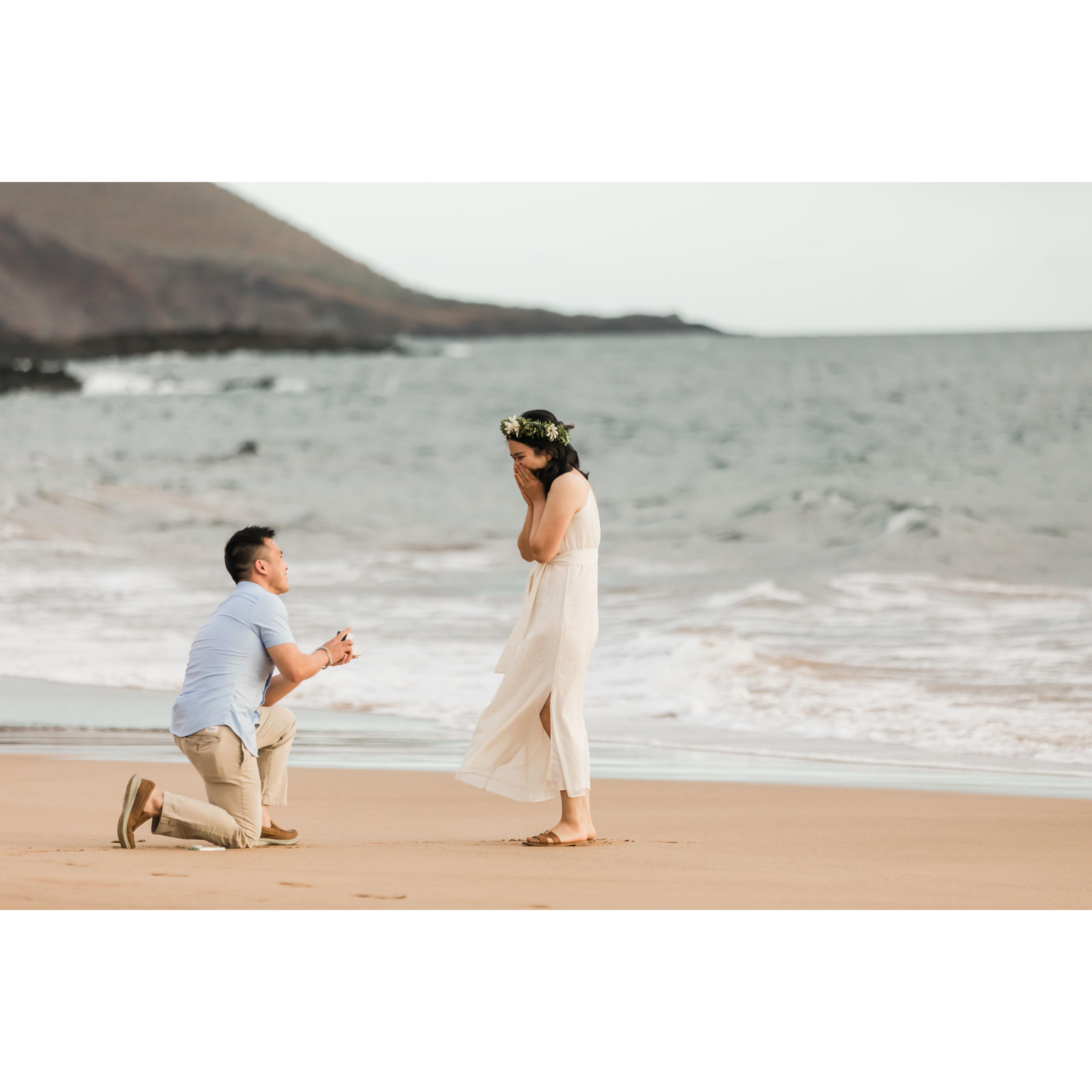 The moment Tommy proposed to Hattie on Po'olenalena Beach, Maui, Hawaii.
