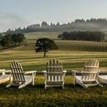 Stoller Family Estate