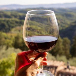 The Wine Fund