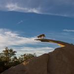 Mount Woodson Trailhead (Potato Chip Rock)