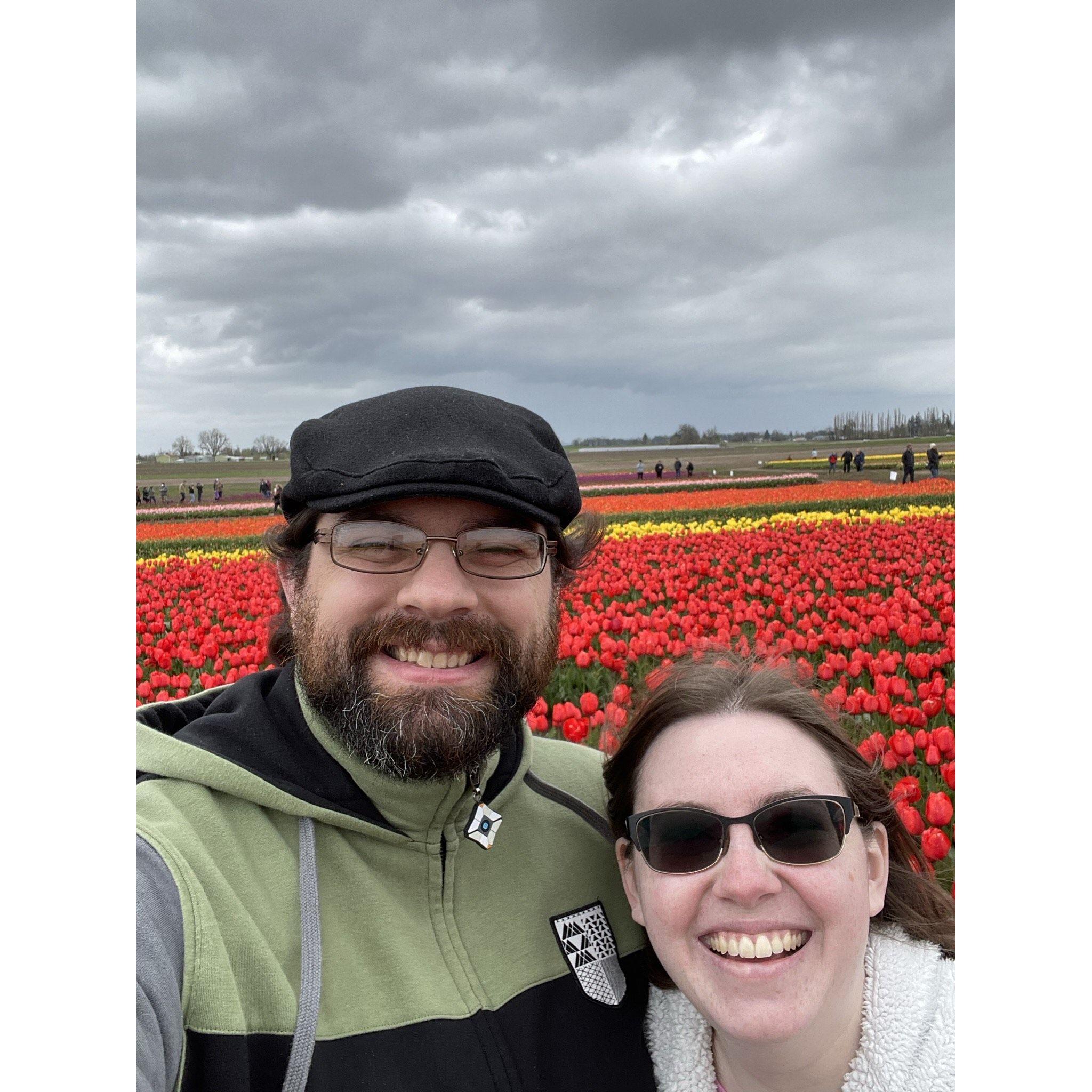 A windy day at the Wooden Shoe Tulip Festival
