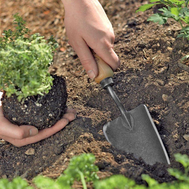 Gardener's Lifetime Trowel