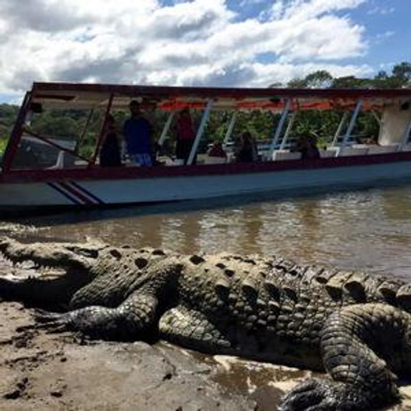 Crocodile River Tour