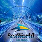 SeaWorld Orlando