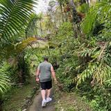 El Yunque National Forest