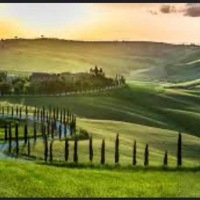 Car to Tuscany