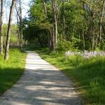 Bike the Towpath Trail