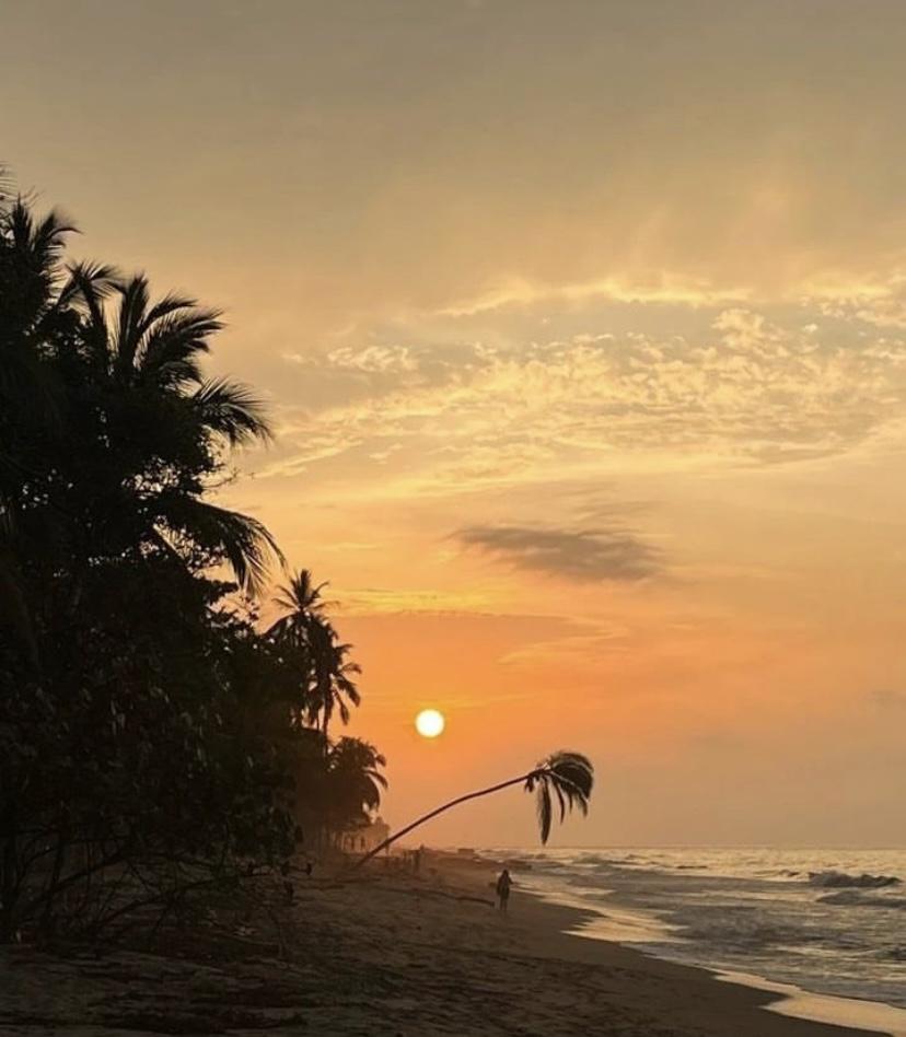 The Wedding Website of Mateo Miranda Jaramillo and Paula Rodriguez Mate