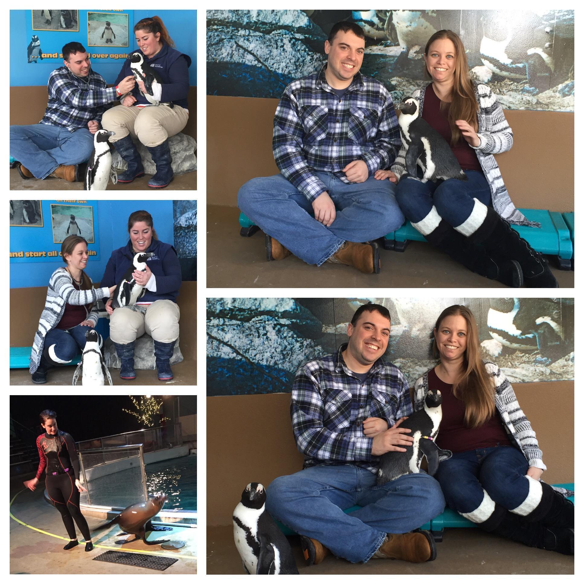 Wonderful weekend in Mystic and the penguin experience.