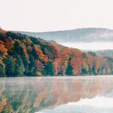 Allegany State Park