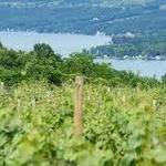 Finger Lakes Wine Country