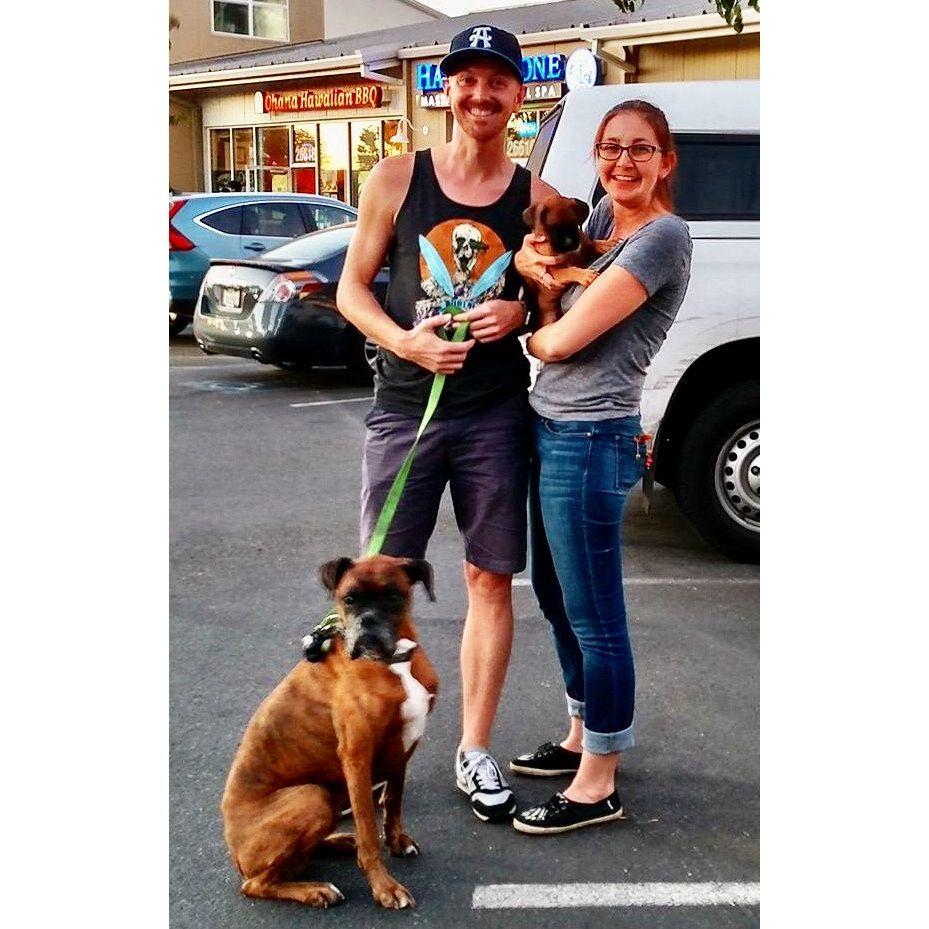 Picking up Sassy from West Coast Boxer Rescue (Oct 2016)