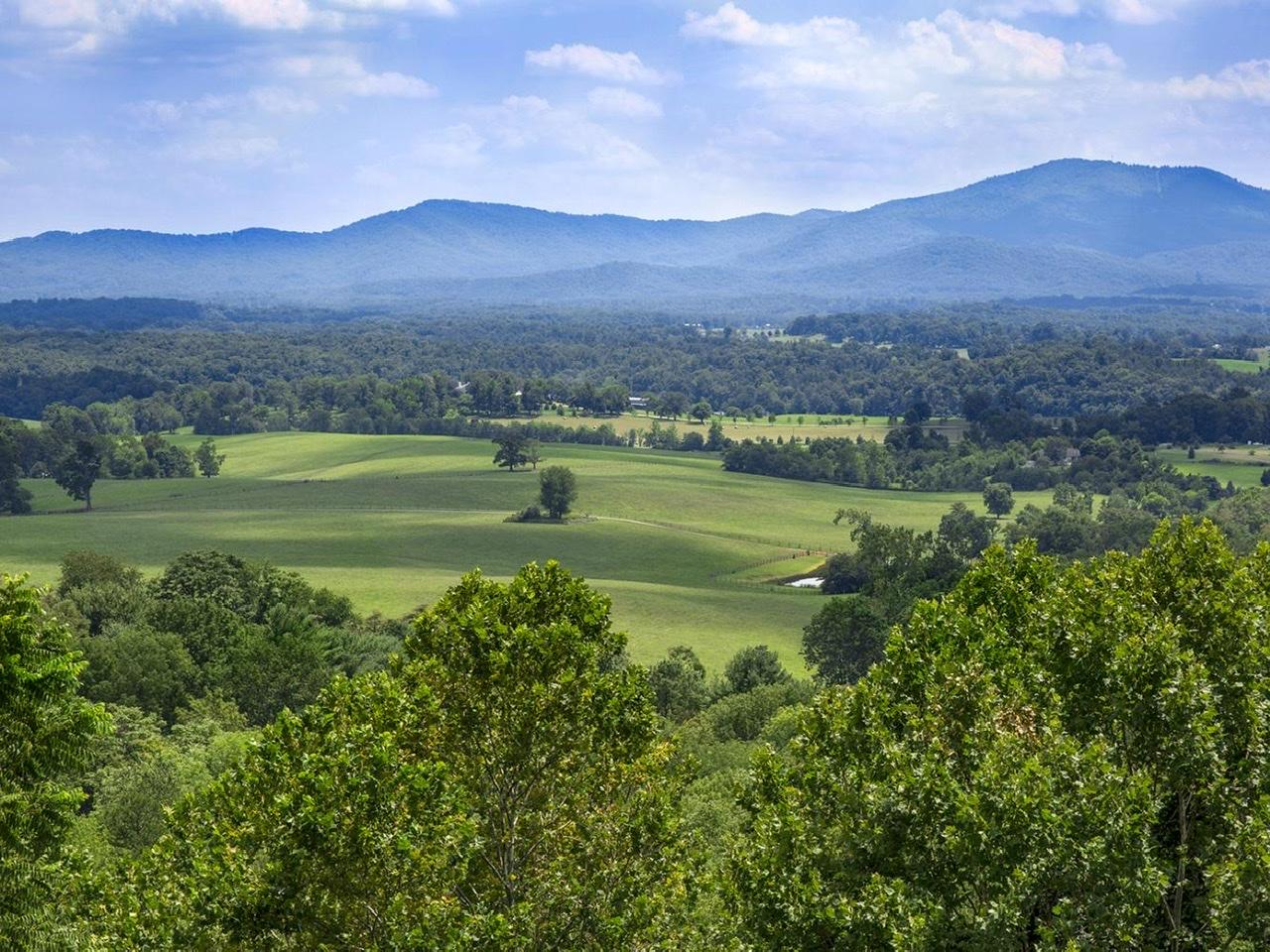 The Wedding Website of Allison Smith and Spencer Albright