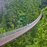 Capilano Suspension Bridge Park