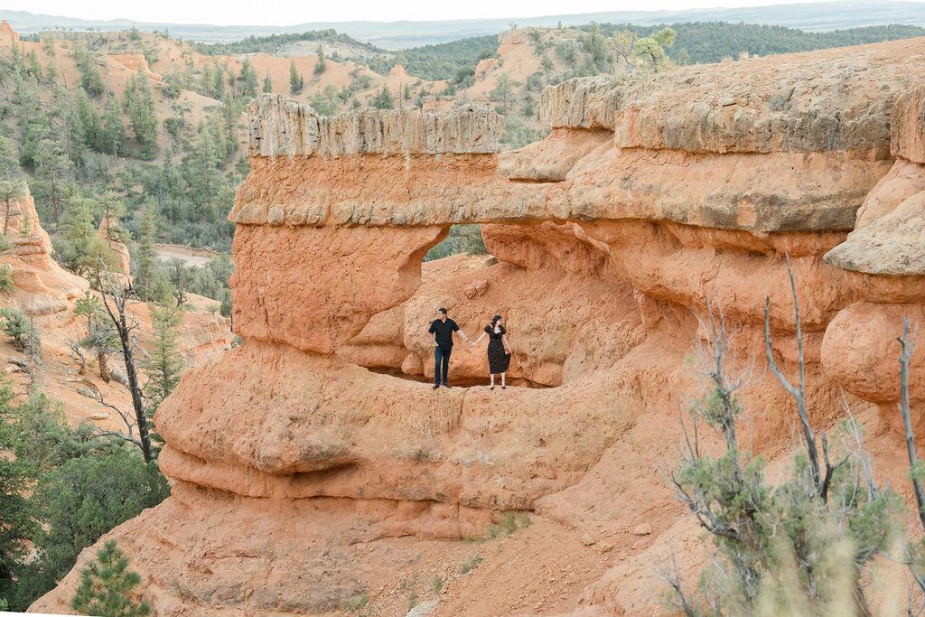 The Wedding Website of Brooke Mitchell and Gregory Smith