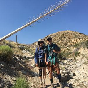 Our honeymoon fund