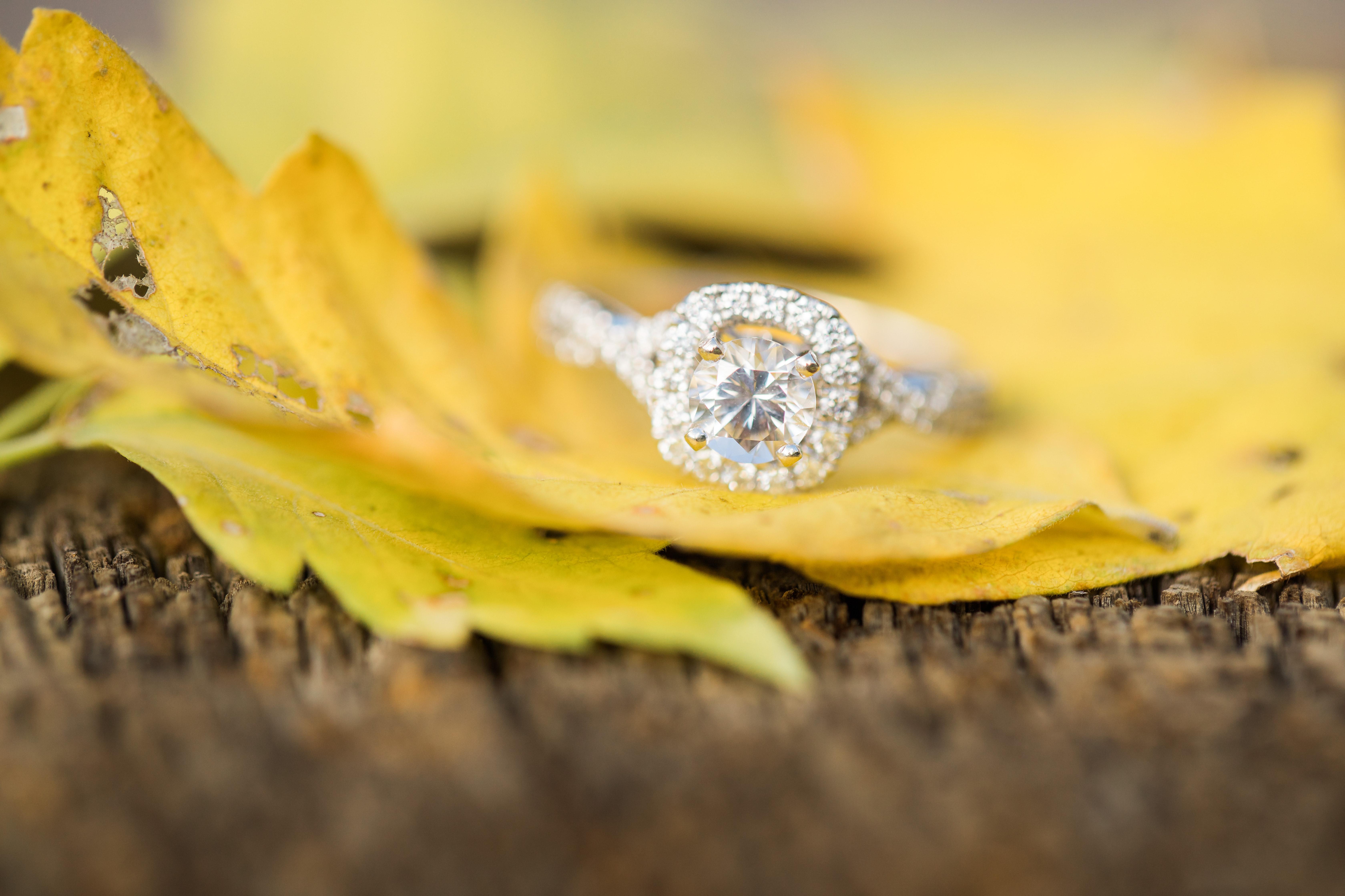 The Wedding Website of Sarah Garman and Aaron Roth