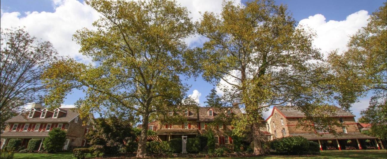 The Wedding Website of Rachel Crowl and Matthew Mcgrath