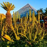 Moody Gardens Attractions Theme Park