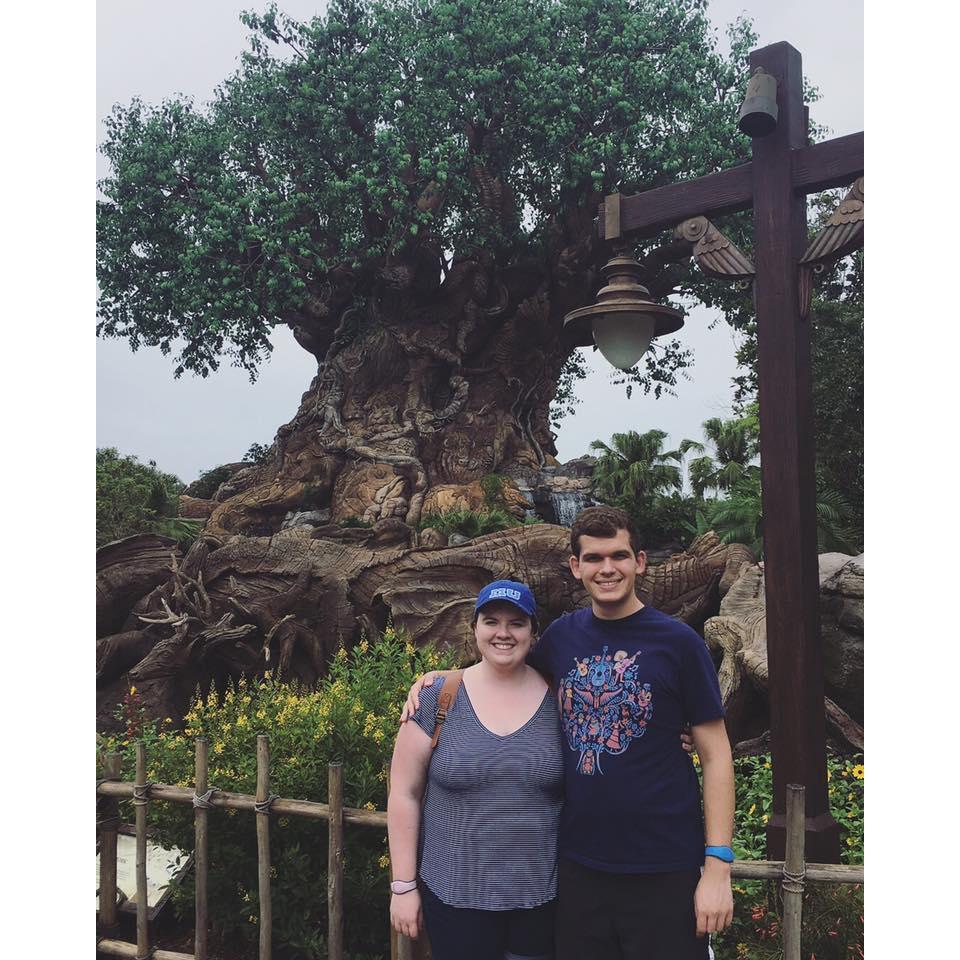 Animal Kingdom