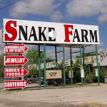 Animal World & Snake Farm Zoo