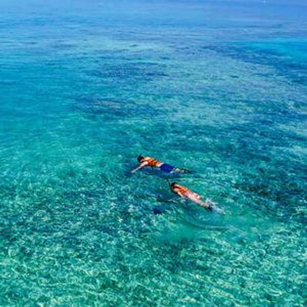 Honeymoon Excursions